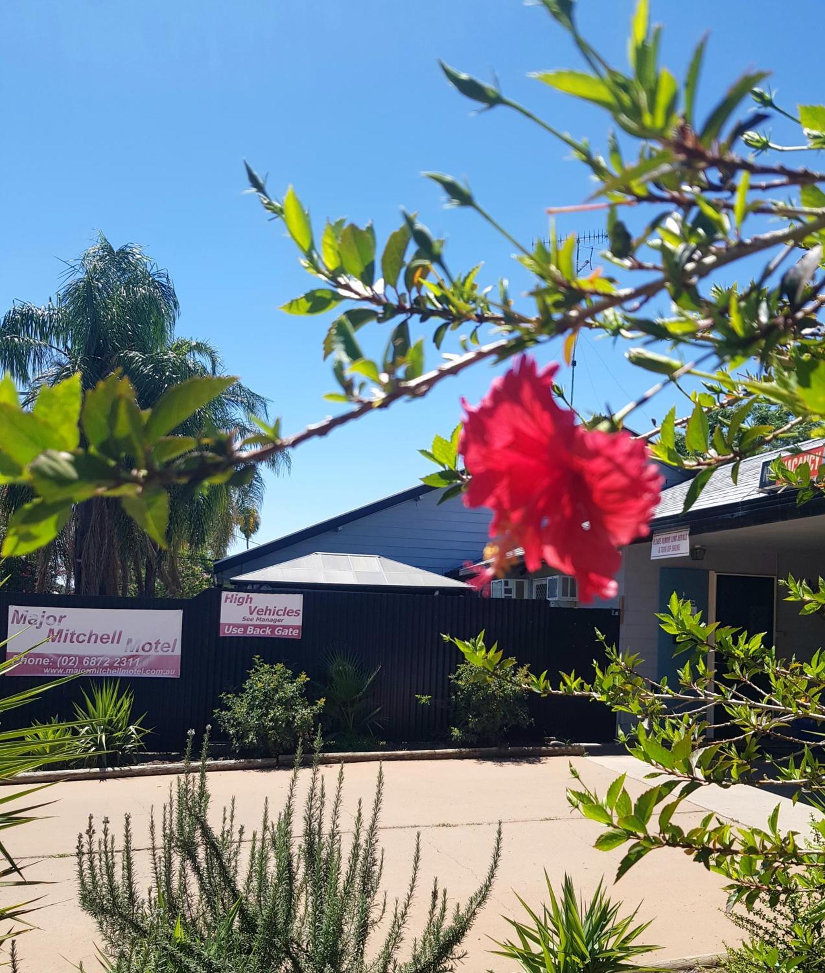 The Major Mitchell Motel Bourke Buitenkant foto